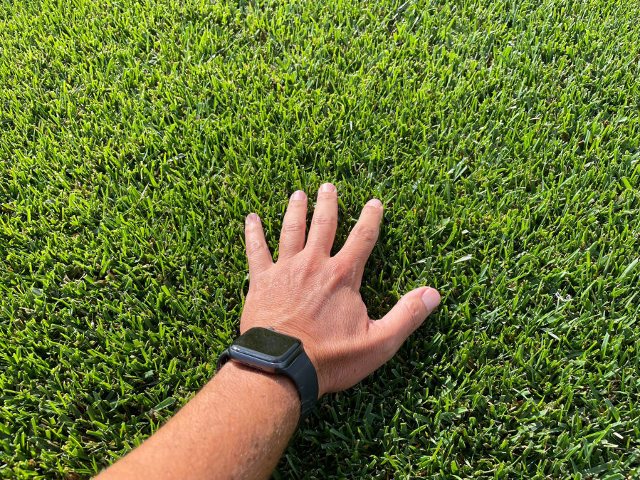 BORDDEAUX GAZON EN ROULEAU RUSTIQUE CHALEUR IDGREEN