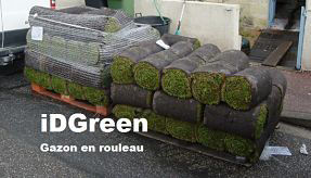 GAZON EN ROULEAU BORDEAUX